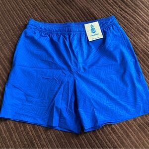 Chubbies 5.5 Inch Vibrant Patterned Blue Compression Lined Athletic Shorts